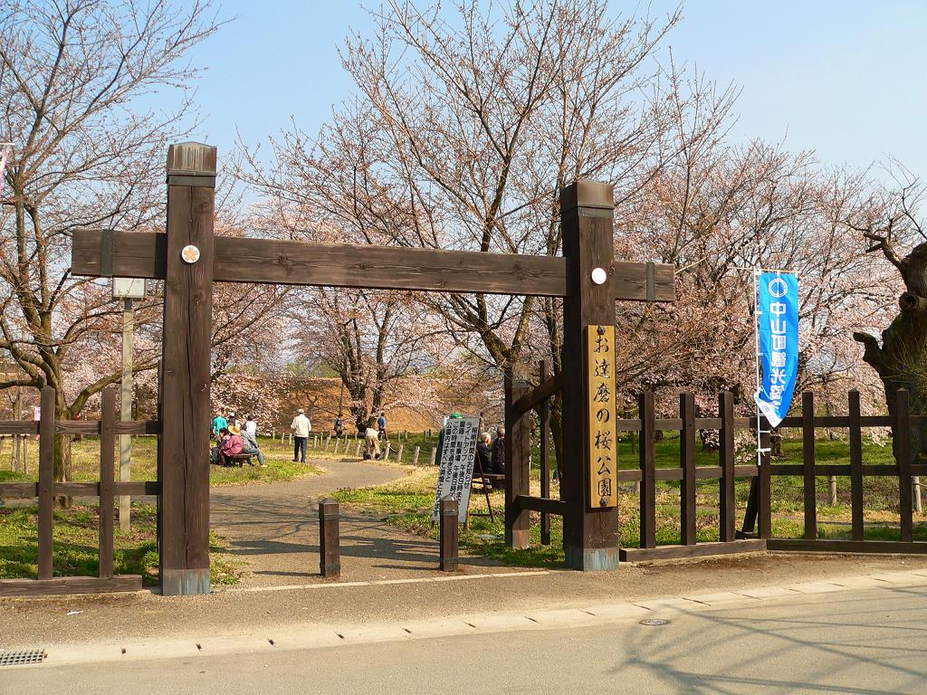 中山町達磨寺址の桜